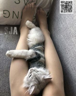 姐姐的朋友电影在线观看_1080P全集免费播放