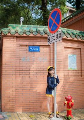爱寻迷高清完整版电影在线观看_720免费高清观看