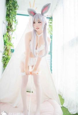 美人心计免费观看完整版高清_BT种子下载