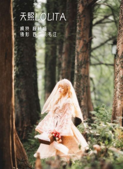 年轻老师的滋味5在线观看_在线电影观看