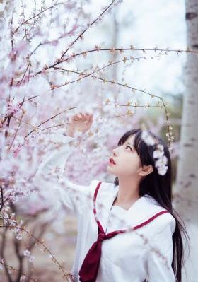 穆桂英挂帅39集全免费_BD免费播放